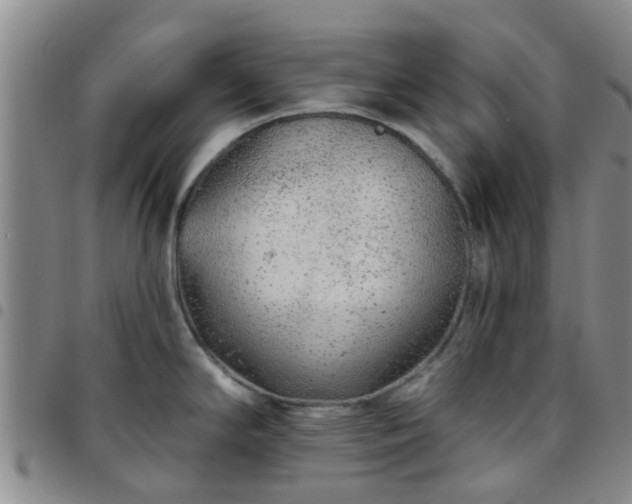 X0000097751294200803141548