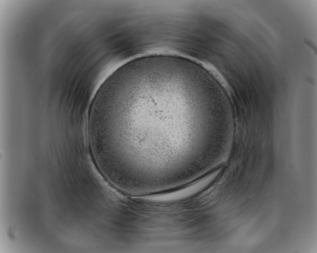 X0000097751295200803141548