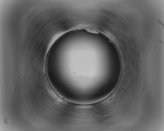 X0000097751296200803141548