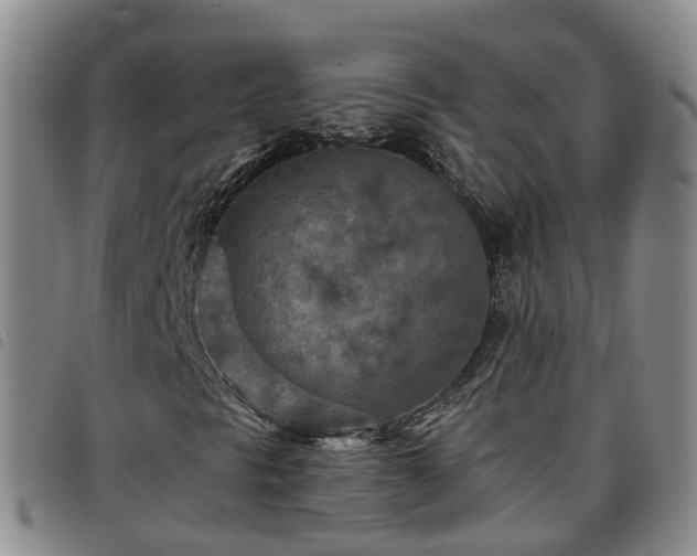 X0000097751297200803141548