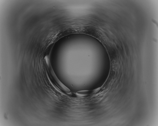 X0000097751298200803141548