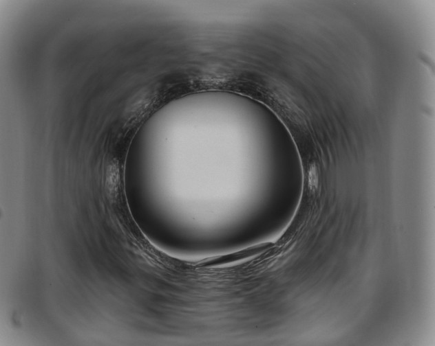 X0000097751299200803141548