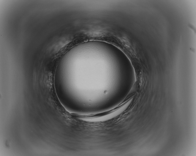 X0000097751301200803141548