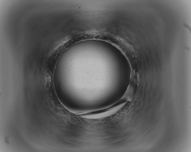 X0000097751302200803141548