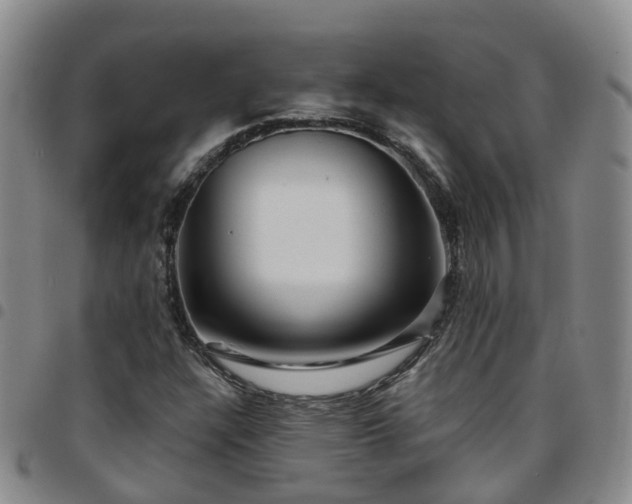 X0000097751304200803141548