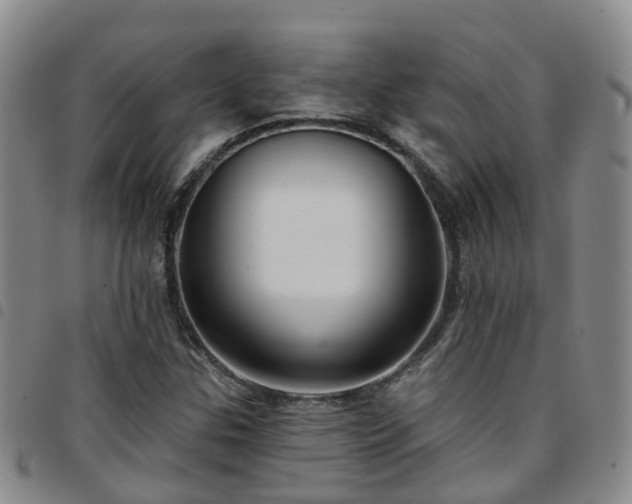 X0000097751307200803141548