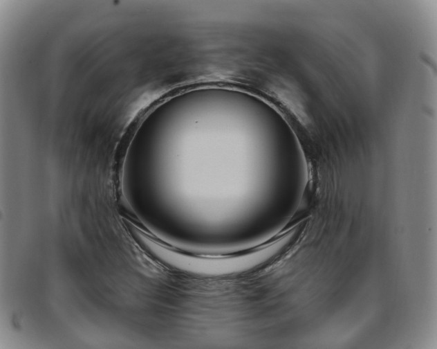 X0000097751308200803141548