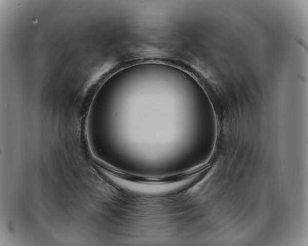 X0000097751309200803141548