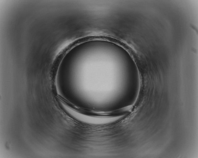 X0000097751311200803141548