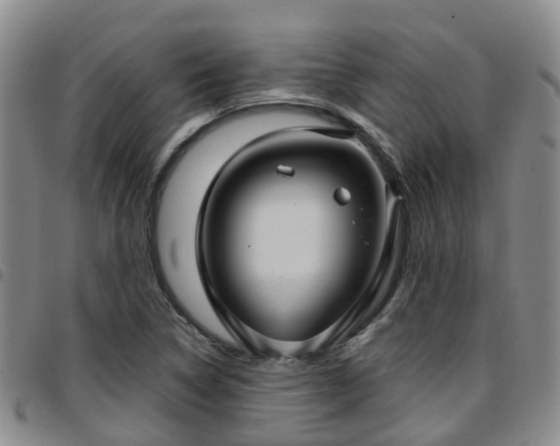 X0000097751314200803141548