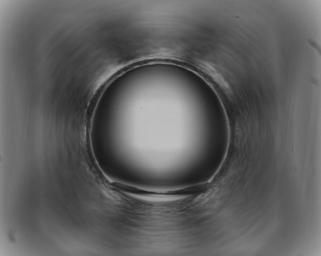 X0000097751316200803141548