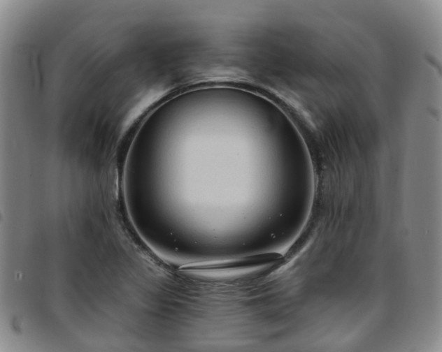 X0000097751317200803141548