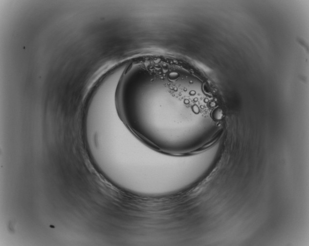 X0000097751318200803141548