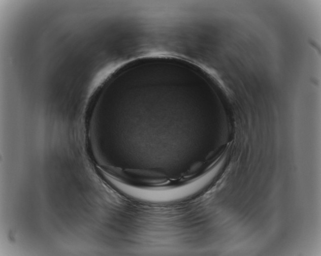 X0000097751319200803141548