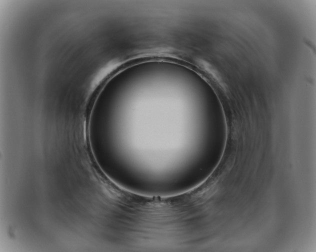 X0000097751320200803141548