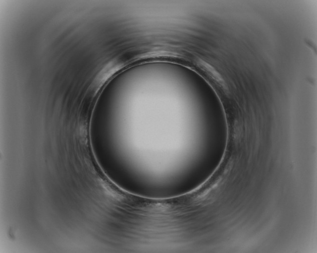 X0000097751321200803141548