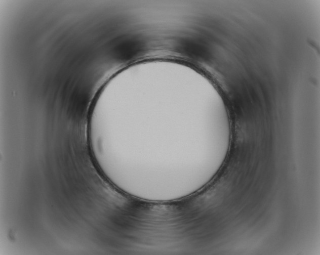 X0000097751322200803141548