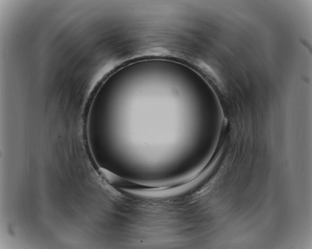 X0000097751326200803141548