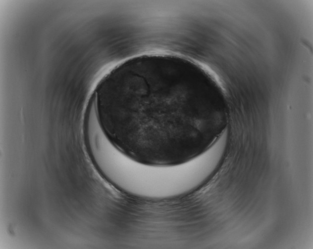 X0000097751327200803141548