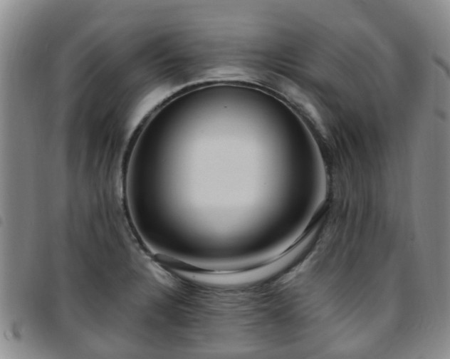 X0000097751328200803141548