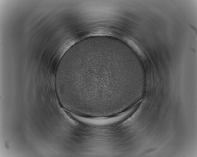 X0000097751329200803141548