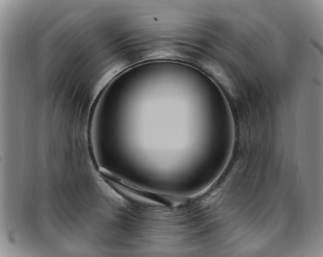 X0000097751330200803141548