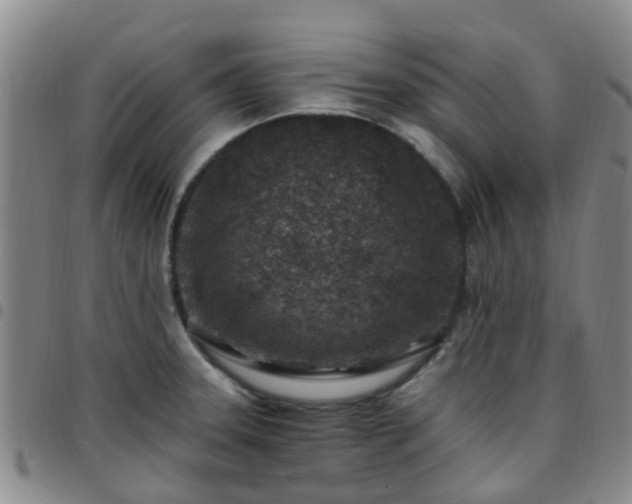 X0000097751331200803141548