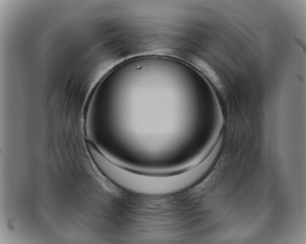 X0000097751332200803141548