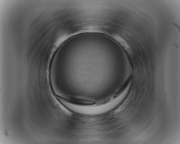 X0000097751334200803141548