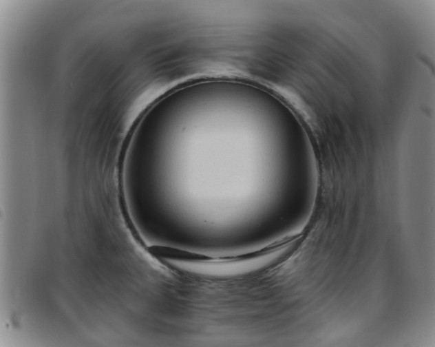 X0000097751335200803141548