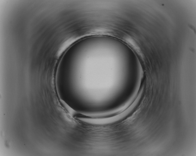 X0000097751336200803141548