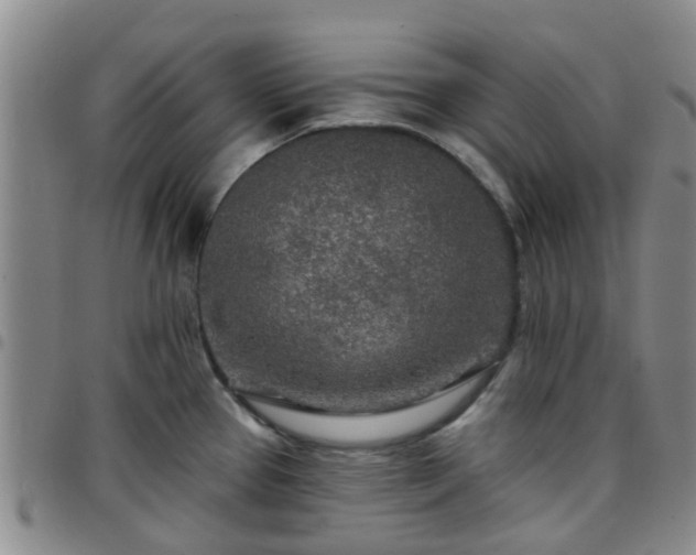 X0000097751337200803141548