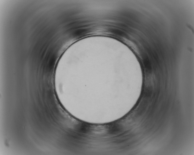 X0000097751338200803141548