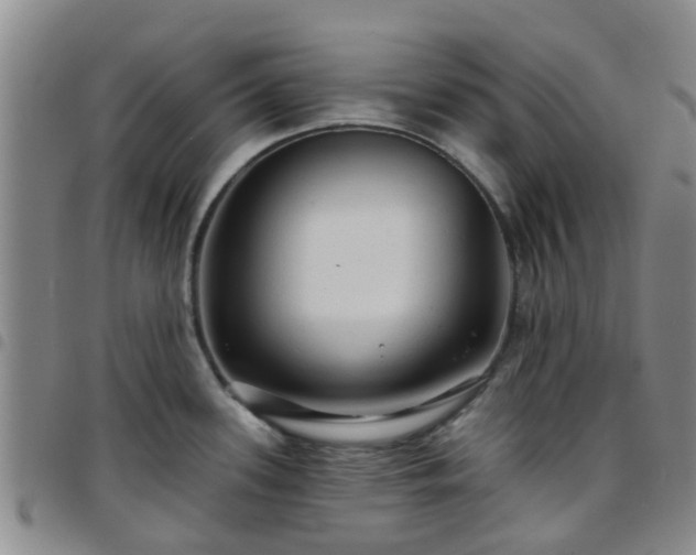 X0000097751339200803141548