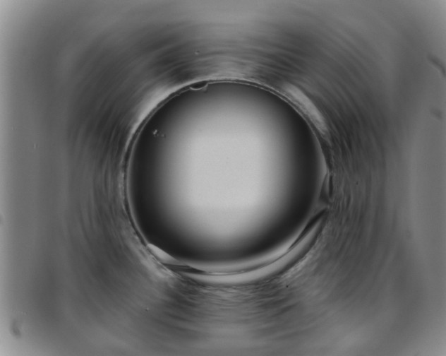 X0000097751340200803141548