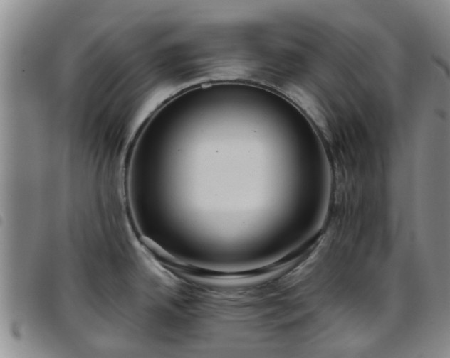 X0000097751342200803141548