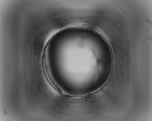 X0000097751344200803141548