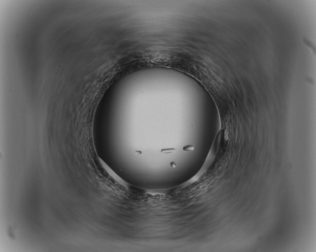 X0000097751345200803141548