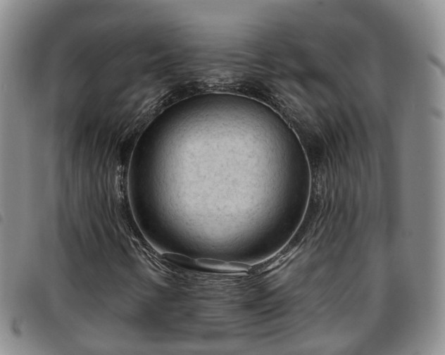 X0000097751346200803141548