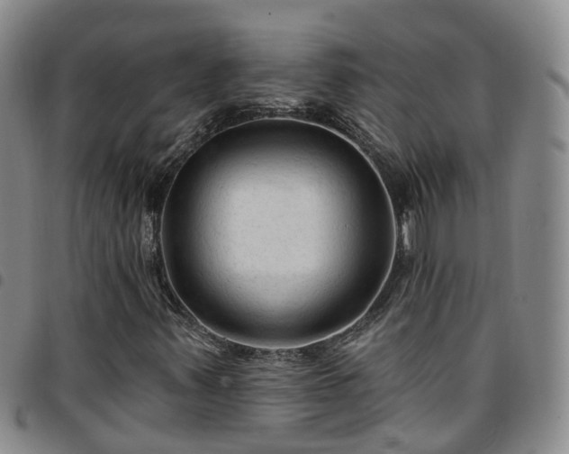 X0000097751347200803141548