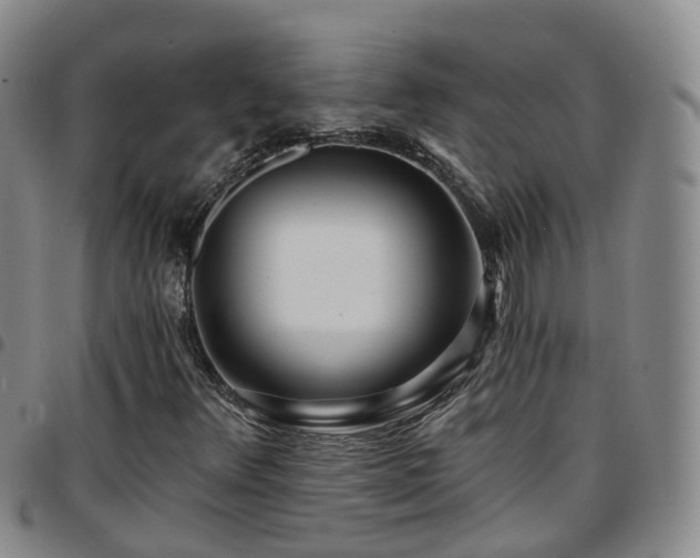 X0000097751348200803141548