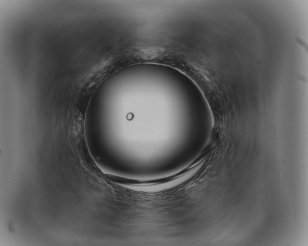 X0000097751349200803141547