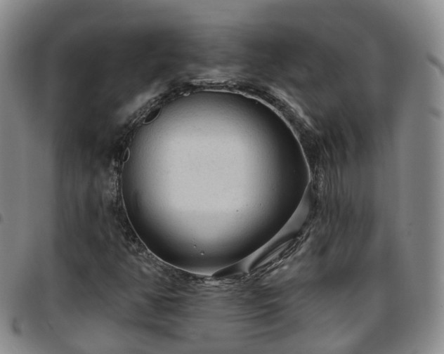 X0000097751350200803141547