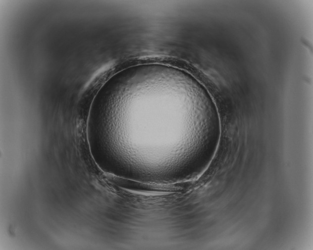 X0000097751351200803141547