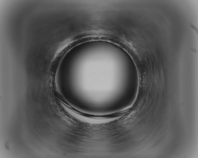 X0000097751352200803141547