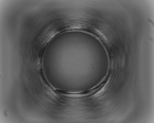 X0000097751353200803141547