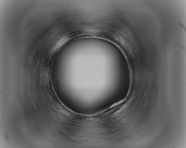 X0000097751354200803141547