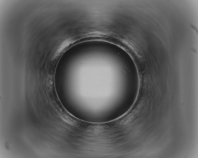 X0000097751355200803141547