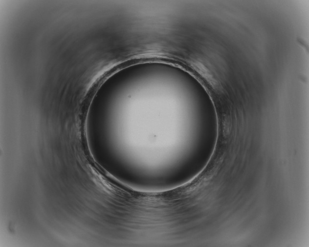 X0000097751356200803141547