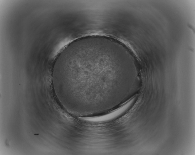 X0000097751359200803141547